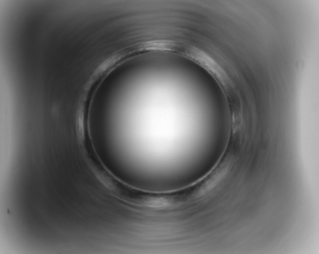 X0000099970349200805231409