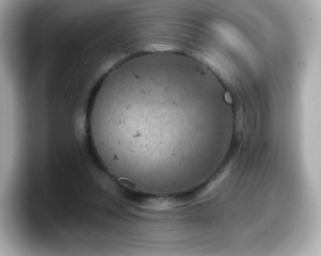 X0000099970351200805231409