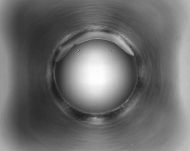 X0000099970352200805231409