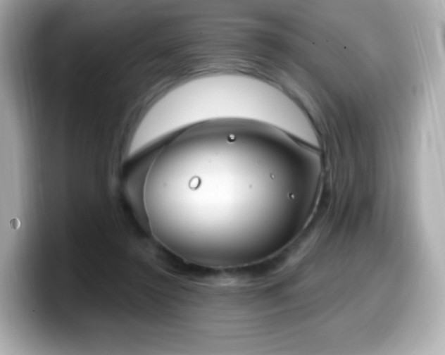 X0000099970356200805231409