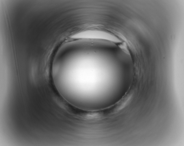 X0000099970357200805231409