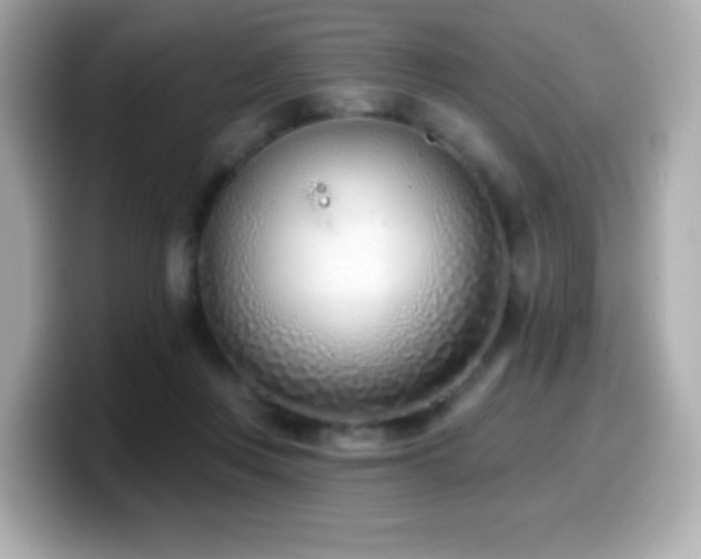 X0000099970359200805231409