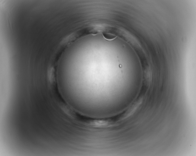 X0000099970361200805231409