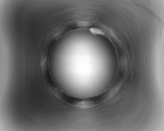 X0000099970364200805231409