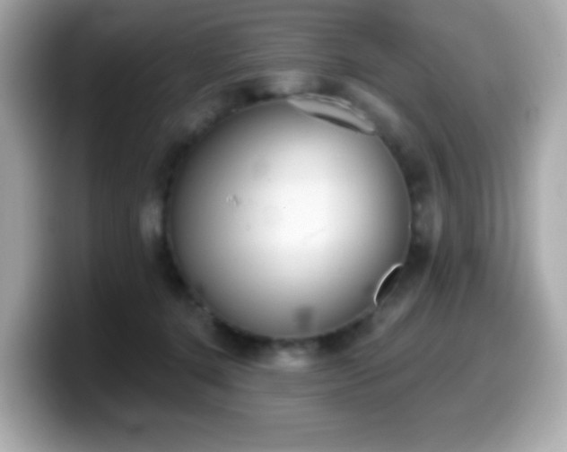 X0000099970368200805231409