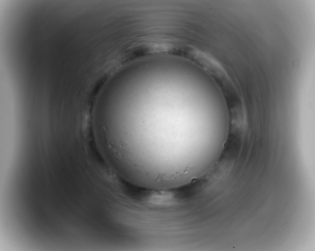 X0000099970369200805231409