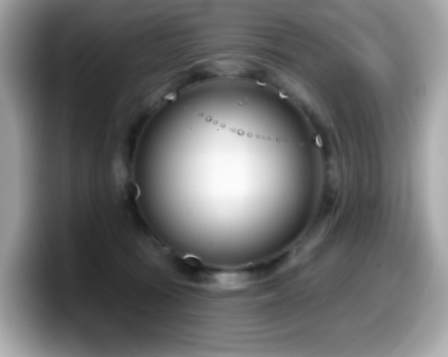 X0000099970371200805231409