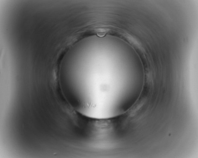 X0000099970373200805231410