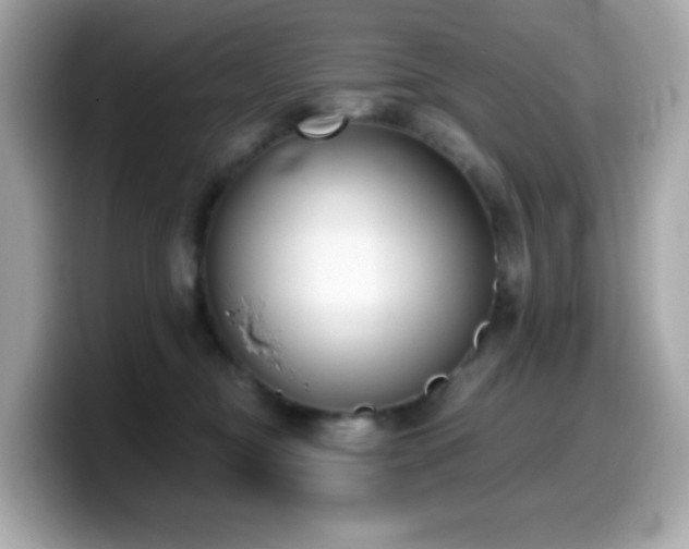 X0000099970374200805231410