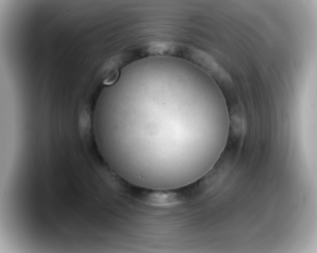 X0000099970375200805231410