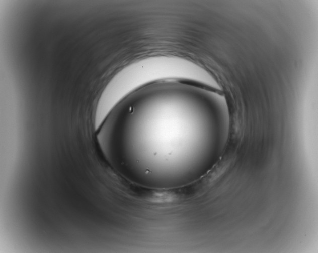 X0000099970376200805231410