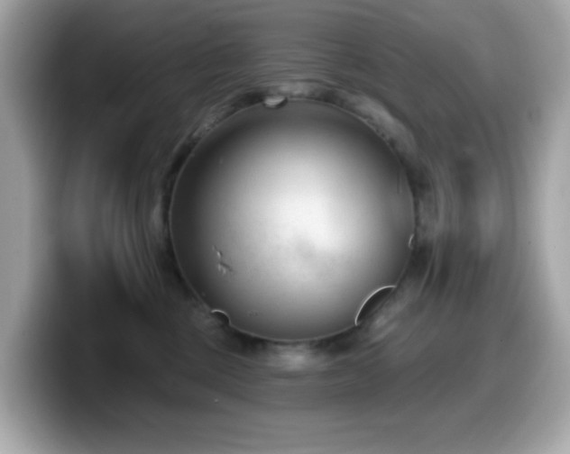 X0000099970377200805231410
