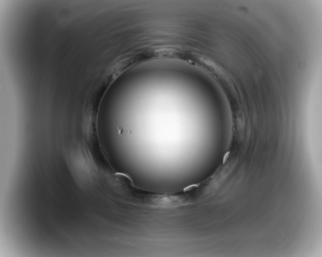 X0000099970379200805231410