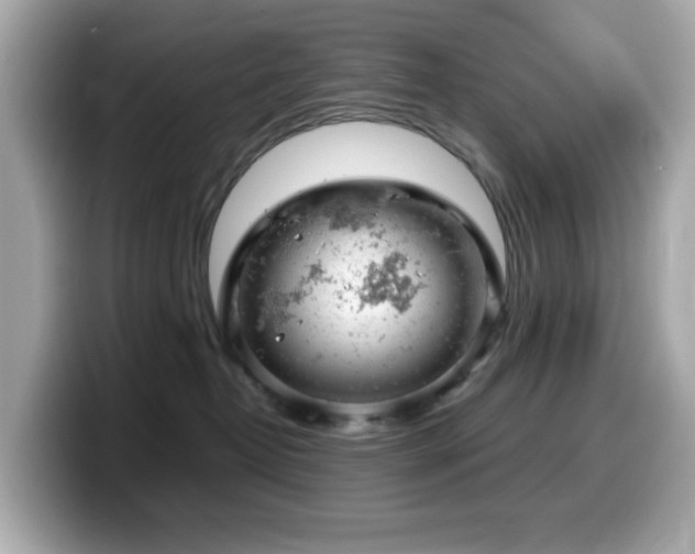 X0000099970382200805231410