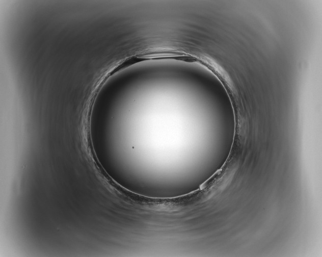 X0000099970385200805231409