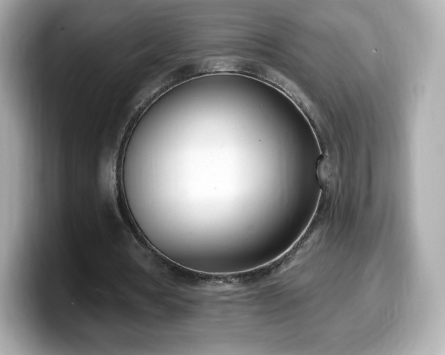 X0000099970386200805231409
