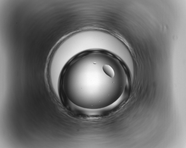 X0000099970387200805231409