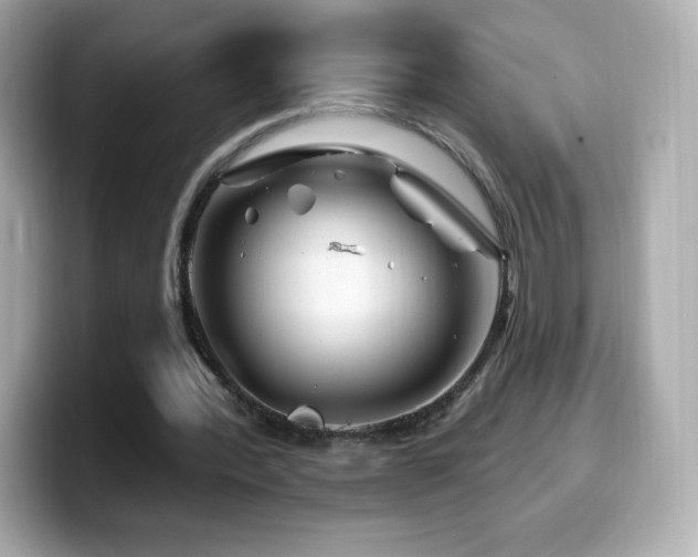 X0000099970388200805231409
