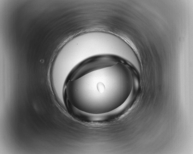 X0000099970389200805231409