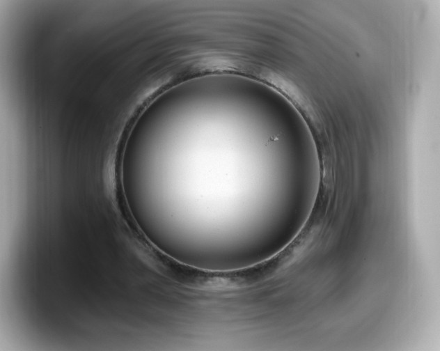 X0000099970390200805231409