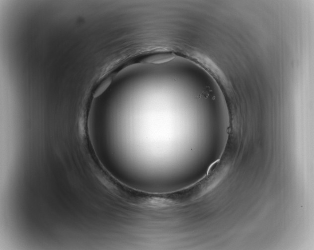 X0000099970393200805231409