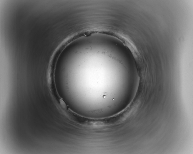 X0000099970395200805231409