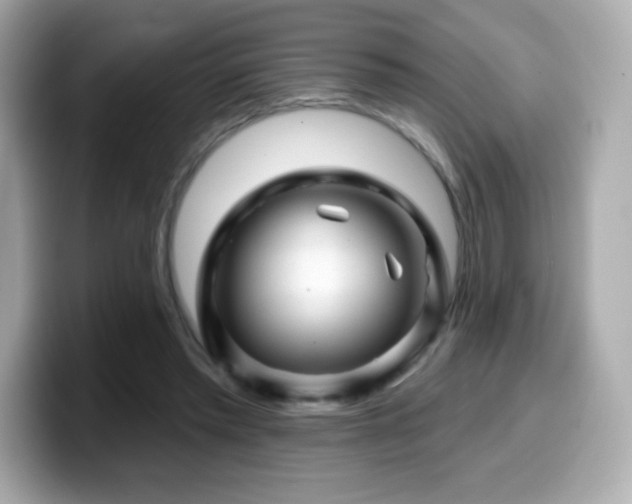 X0000099970397200805231409