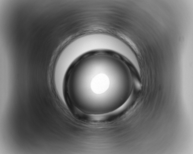 X0000099970399200805231409