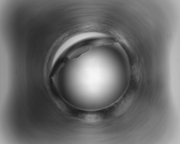X0000099970400200805231409