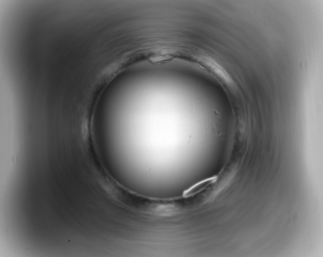 X0000099970401200805231409
