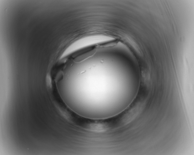 X0000099970404200805231409