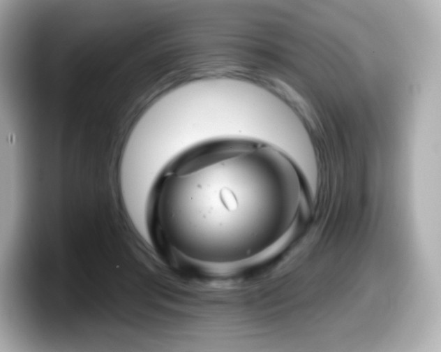 X0000099970405200805231409