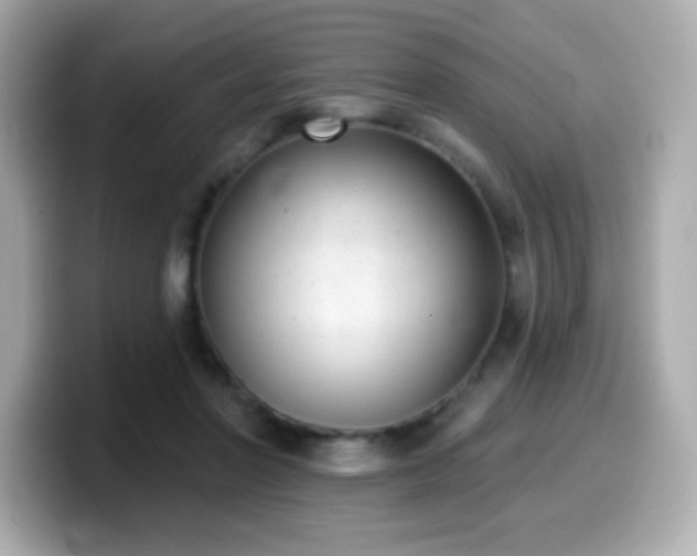 X0000099970406200805231409