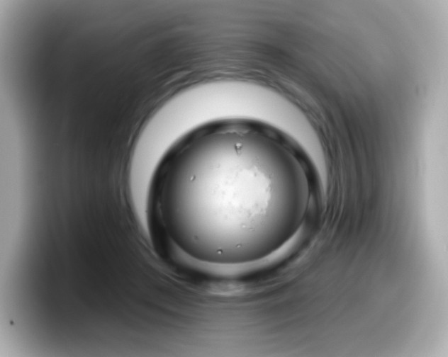 X0000099970409200805231409