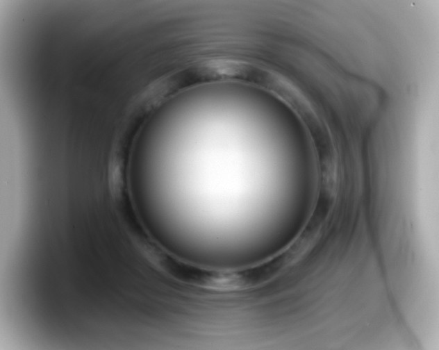 X0000099970410200805231409