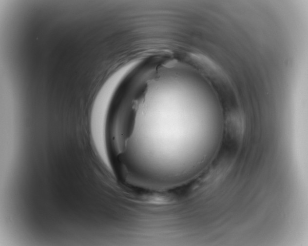 X0000099970412200805231409