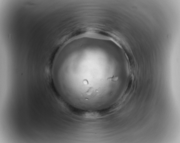 X0000099970415200805231409