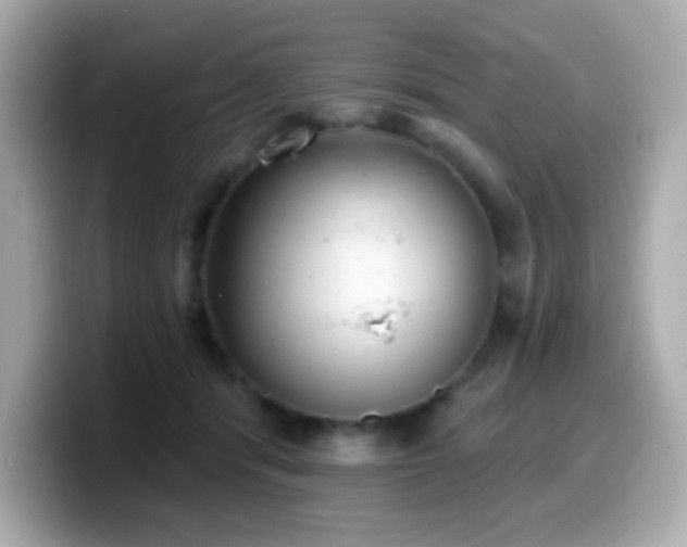 X0000099970416200805231409
