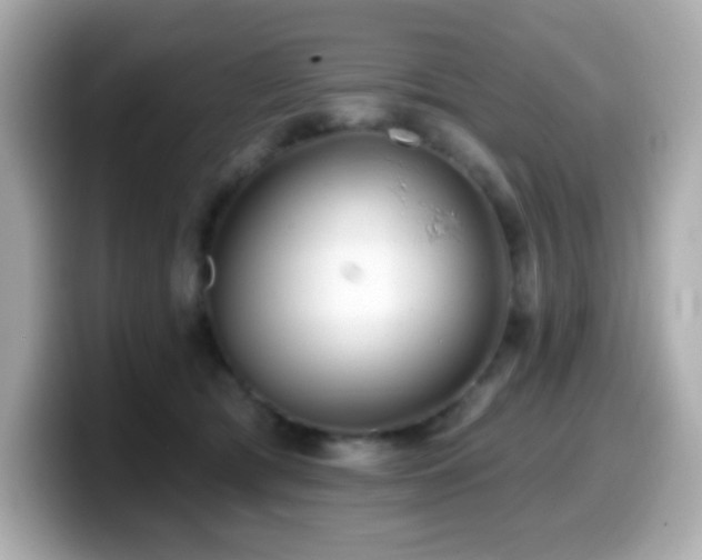 X0000099970417200805231409