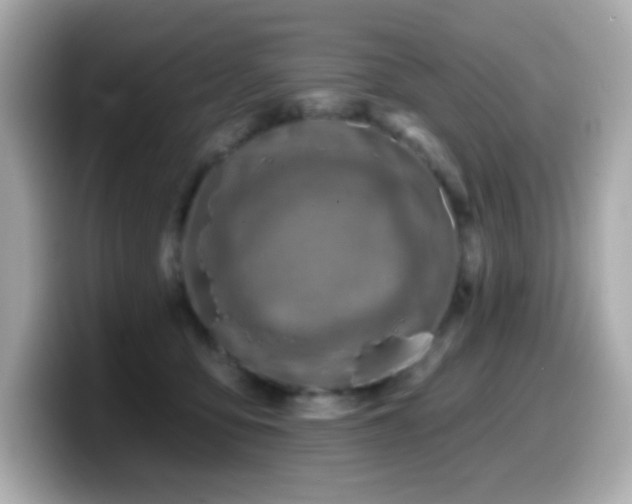 X0000099970419200805231409