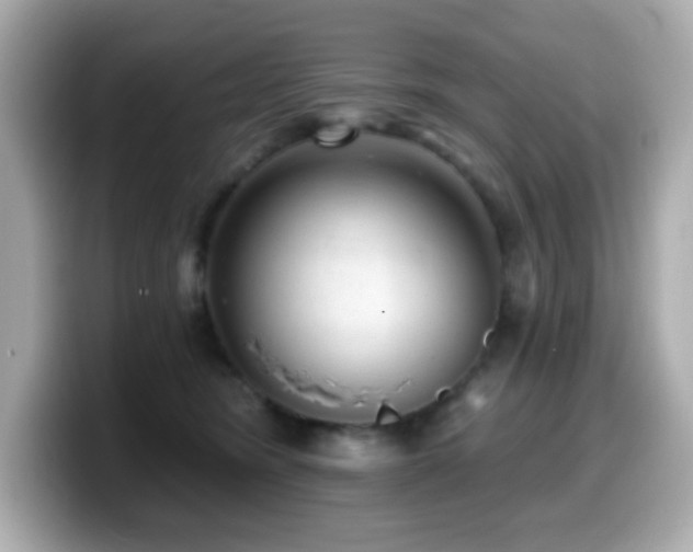 X0000099970420200805231409