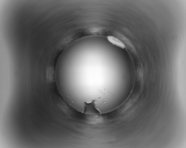 X0000099970421200805231409