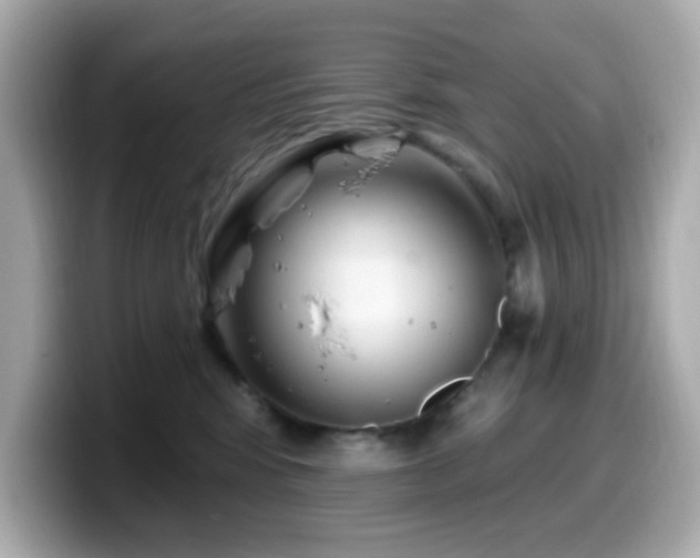 X0000099970424200805231409