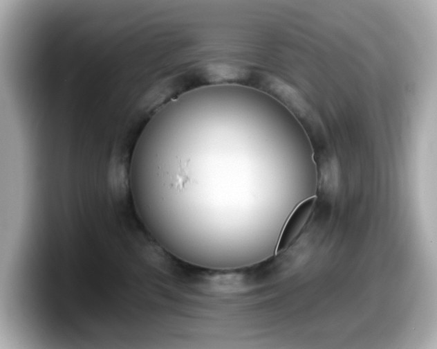 X0000099970426200805231408