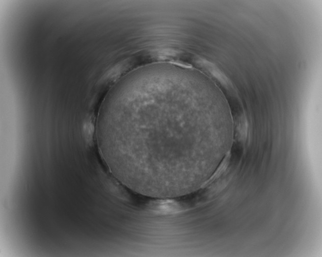 X0000099970427200805231408