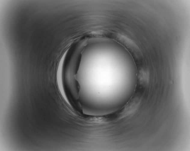X0000099970428200805231408