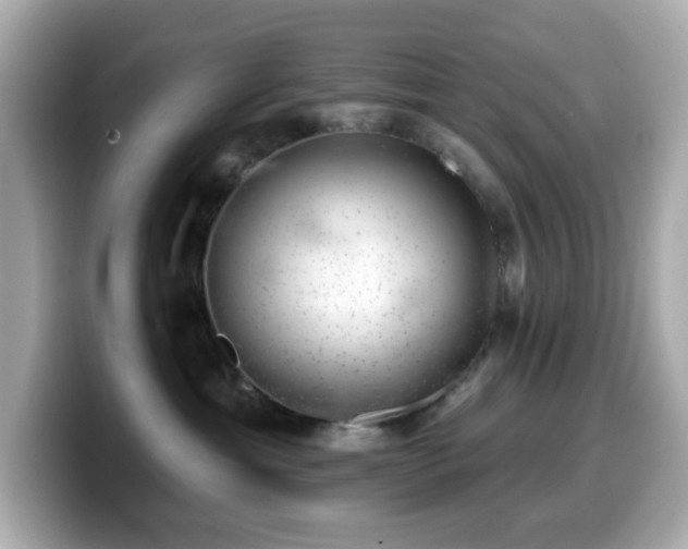 X0000099970429200805231408