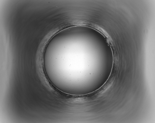 X0000099970433200805231408