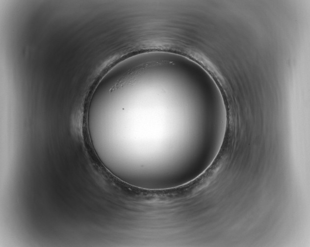 X0000099970434200805231408