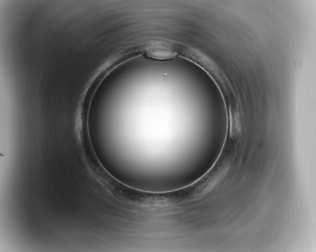 X0000099970435200805231408